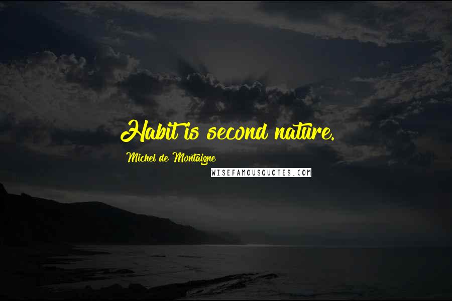 Michel De Montaigne Quotes: Habit is second nature.