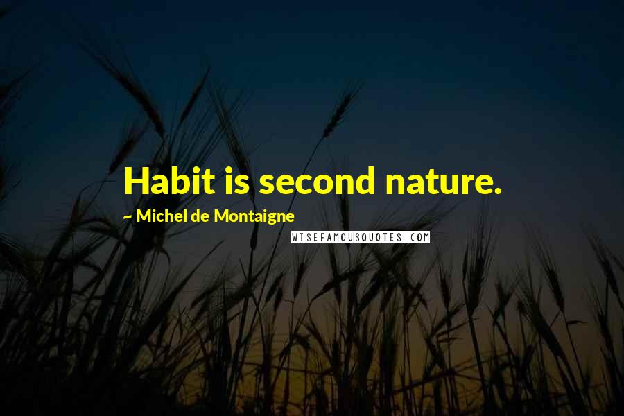 Michel De Montaigne Quotes: Habit is second nature.