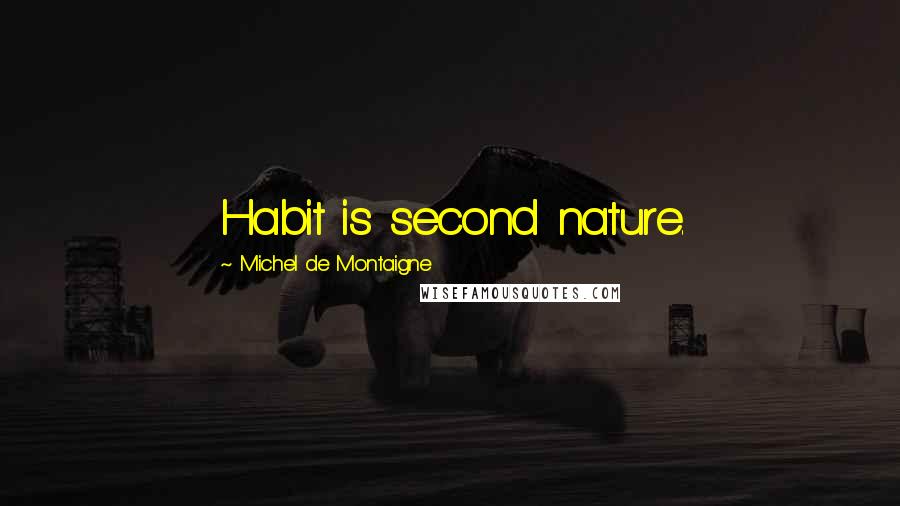Michel De Montaigne Quotes: Habit is second nature.