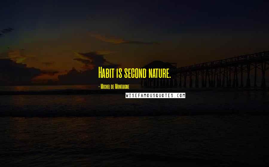 Michel De Montaigne Quotes: Habit is second nature.