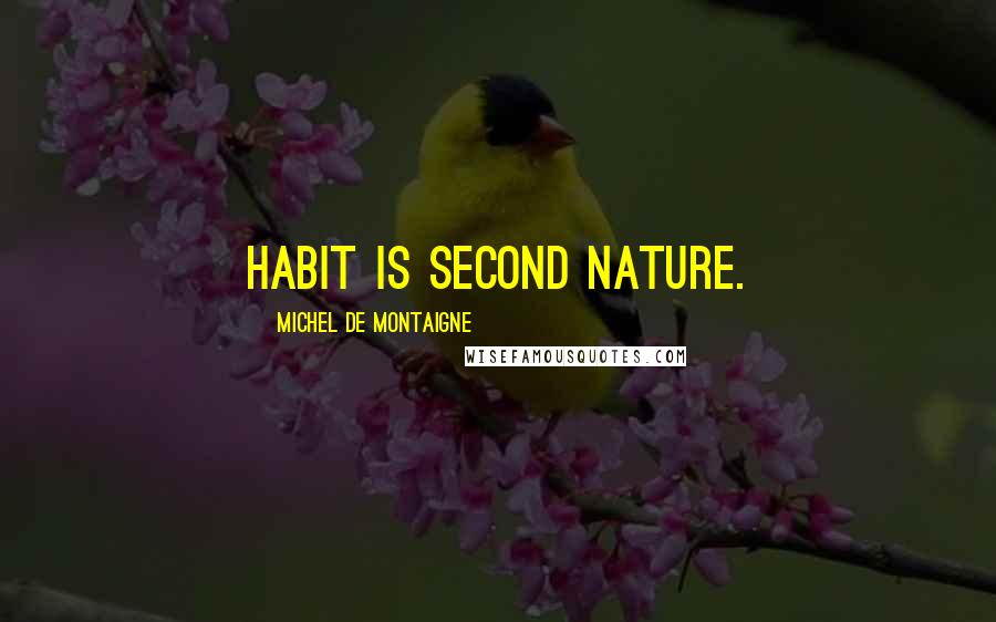 Michel De Montaigne Quotes: Habit is second nature.