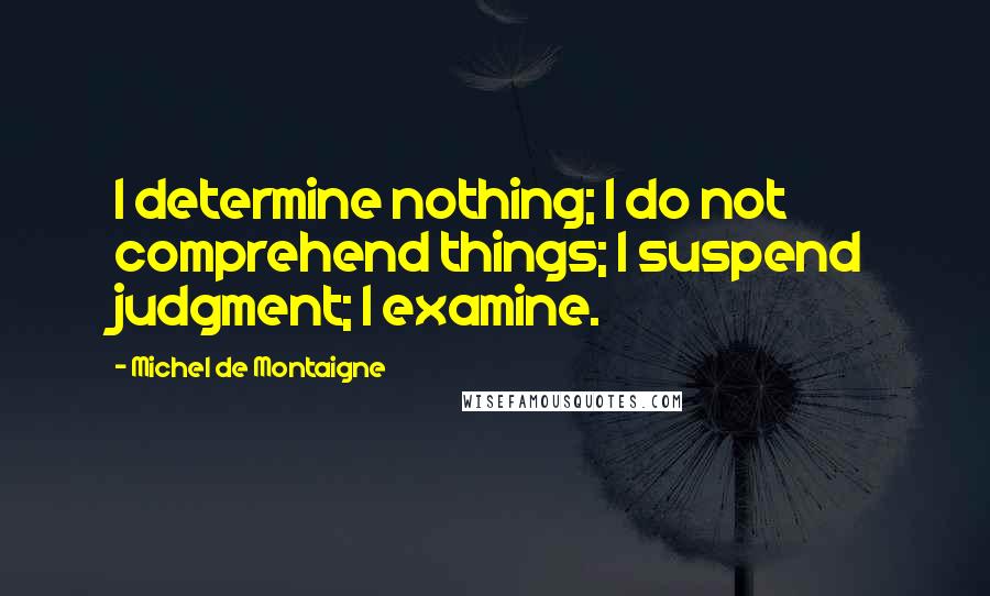 Michel De Montaigne Quotes: I determine nothing; I do not comprehend things; I suspend judgment; I examine.