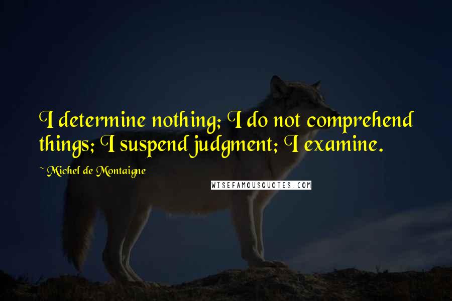 Michel De Montaigne Quotes: I determine nothing; I do not comprehend things; I suspend judgment; I examine.