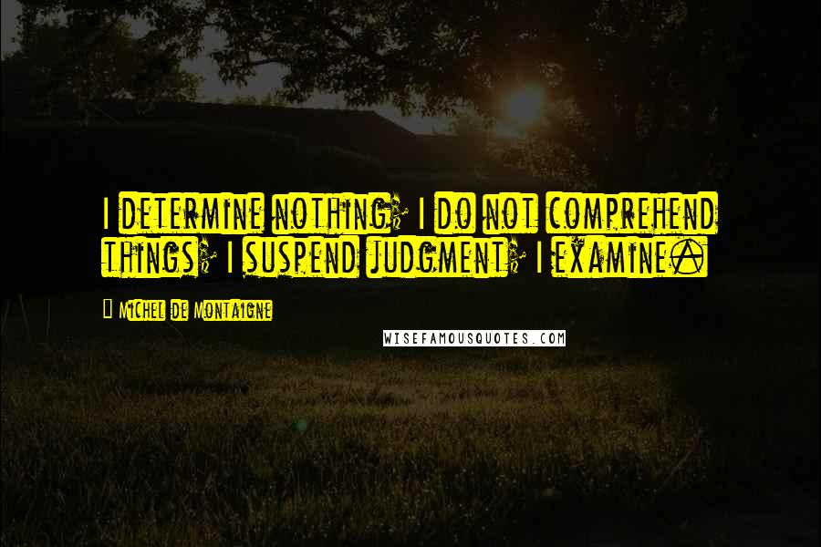 Michel De Montaigne Quotes: I determine nothing; I do not comprehend things; I suspend judgment; I examine.