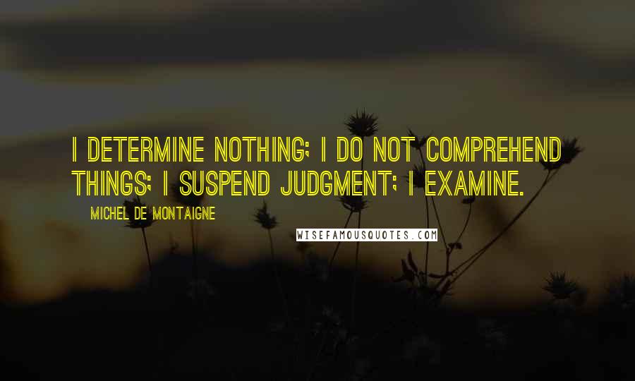 Michel De Montaigne Quotes: I determine nothing; I do not comprehend things; I suspend judgment; I examine.