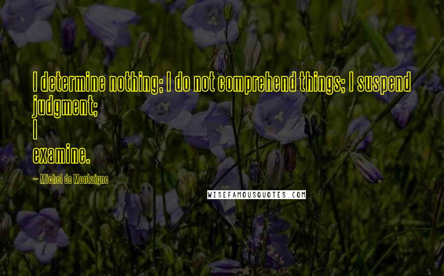 Michel De Montaigne Quotes: I determine nothing; I do not comprehend things; I suspend judgment; I examine.