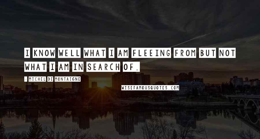 Michel De Montaigne Quotes: I know well what I am fleeing from but not what I am in search of.