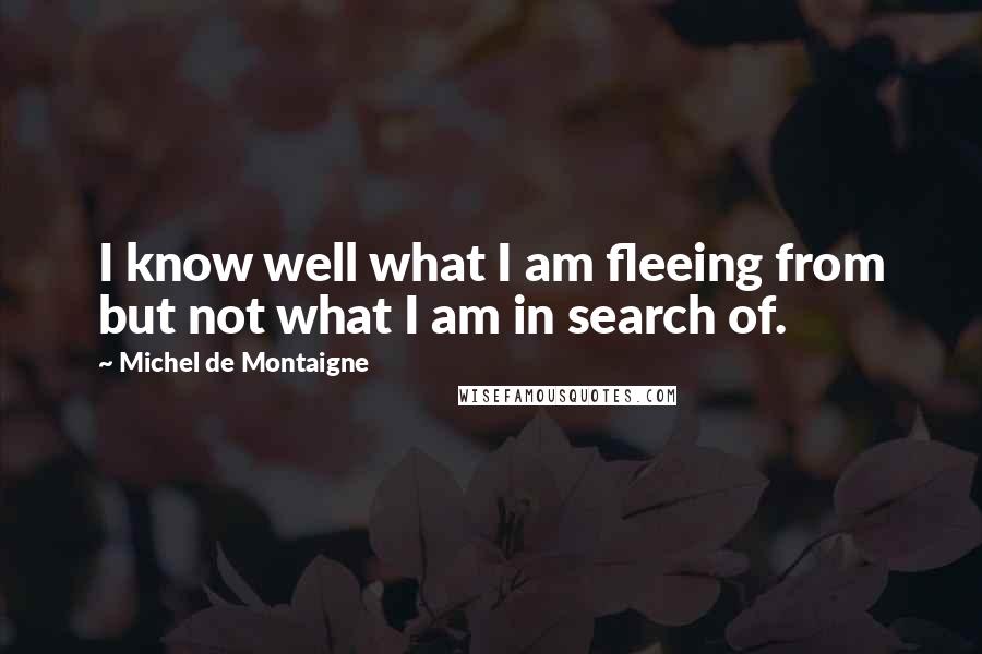 Michel De Montaigne Quotes: I know well what I am fleeing from but not what I am in search of.