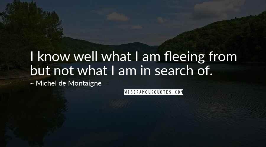 Michel De Montaigne Quotes: I know well what I am fleeing from but not what I am in search of.