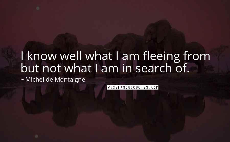 Michel De Montaigne Quotes: I know well what I am fleeing from but not what I am in search of.