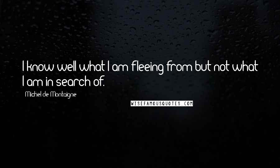 Michel De Montaigne Quotes: I know well what I am fleeing from but not what I am in search of.