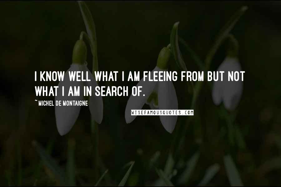 Michel De Montaigne Quotes: I know well what I am fleeing from but not what I am in search of.