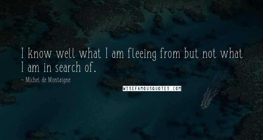 Michel De Montaigne Quotes: I know well what I am fleeing from but not what I am in search of.