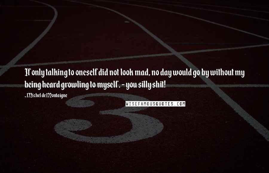 Michel De Montaigne Quotes: If only talking to oneself did not look mad, no day would go by without my being heard growling to myself. - you silly shit!