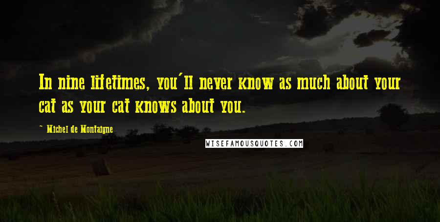 Michel De Montaigne Quotes: In nine lifetimes, you'll never know as much about your cat as your cat knows about you.