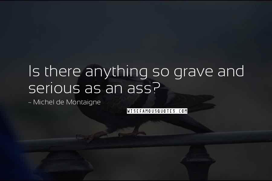 Michel De Montaigne Quotes: Is there anything so grave and serious as an ass?