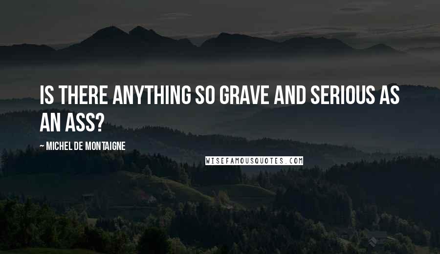 Michel De Montaigne Quotes: Is there anything so grave and serious as an ass?