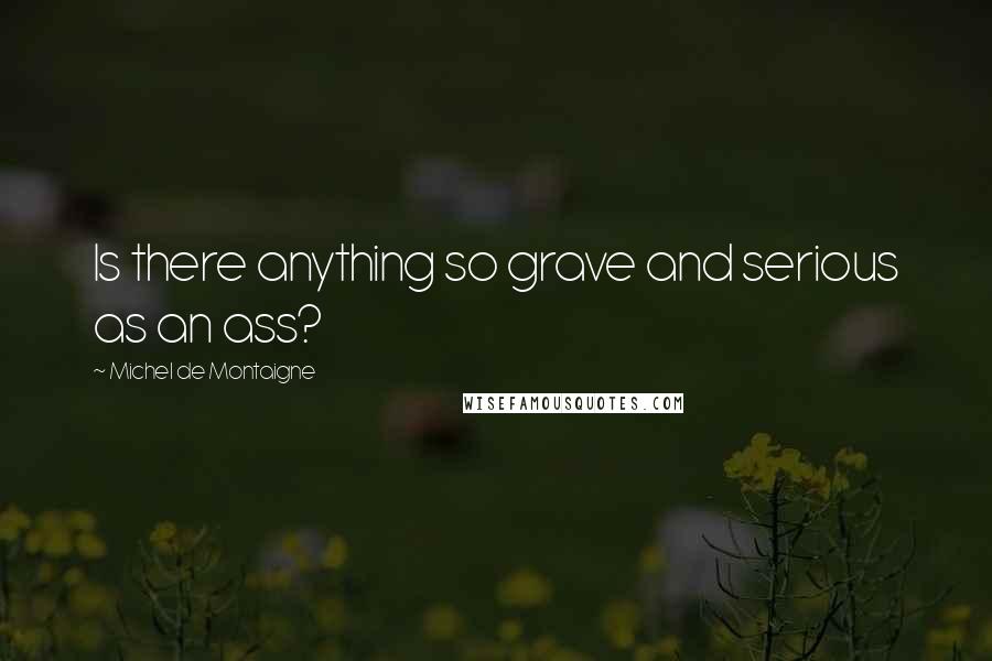 Michel De Montaigne Quotes: Is there anything so grave and serious as an ass?