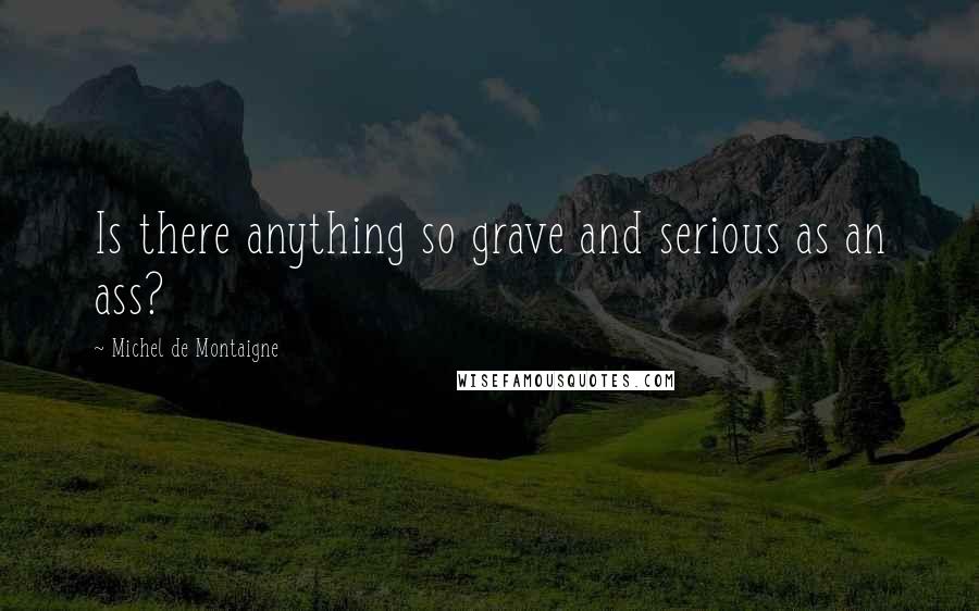 Michel De Montaigne Quotes: Is there anything so grave and serious as an ass?