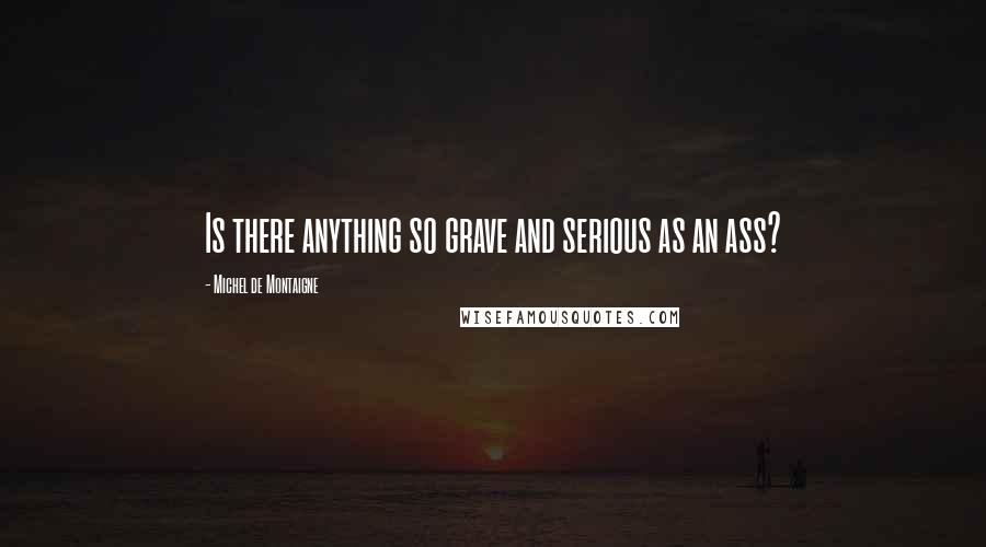 Michel De Montaigne Quotes: Is there anything so grave and serious as an ass?
