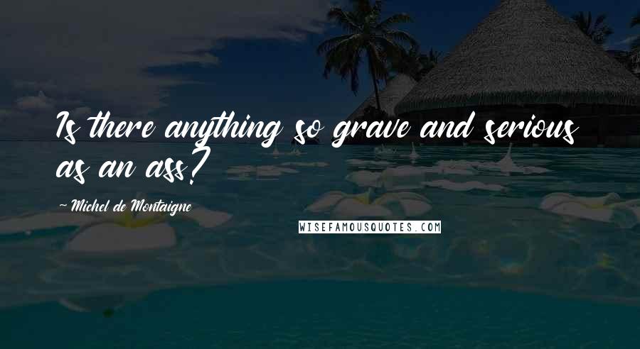 Michel De Montaigne Quotes: Is there anything so grave and serious as an ass?