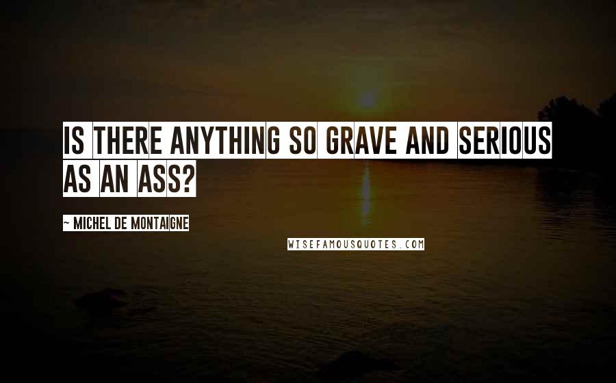 Michel De Montaigne Quotes: Is there anything so grave and serious as an ass?