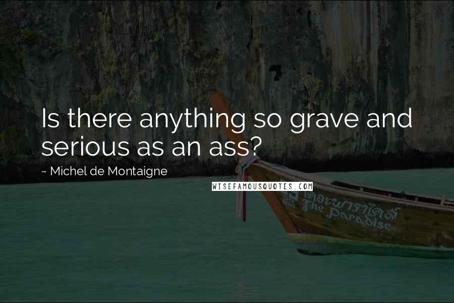 Michel De Montaigne Quotes: Is there anything so grave and serious as an ass?