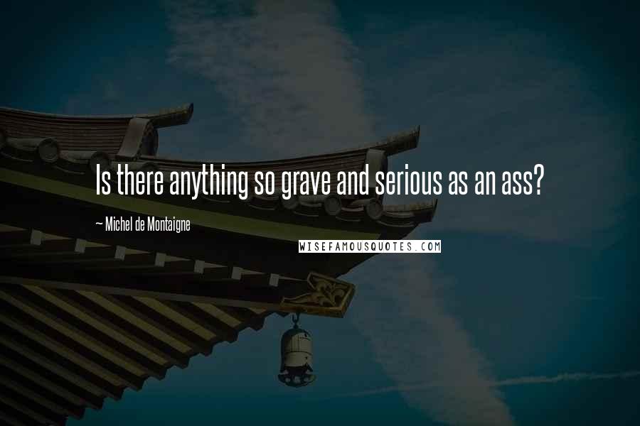 Michel De Montaigne Quotes: Is there anything so grave and serious as an ass?