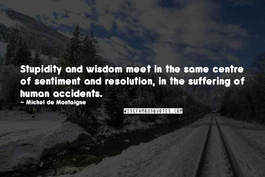 Michel De Montaigne Quotes: Stupidity and wisdom meet in the same centre of sentiment and resolution, in the suffering of human accidents.