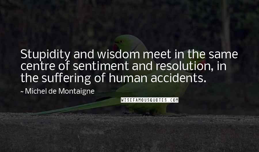 Michel De Montaigne Quotes: Stupidity and wisdom meet in the same centre of sentiment and resolution, in the suffering of human accidents.