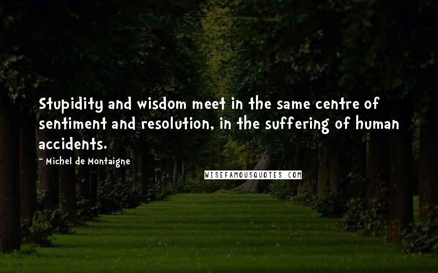 Michel De Montaigne Quotes: Stupidity and wisdom meet in the same centre of sentiment and resolution, in the suffering of human accidents.