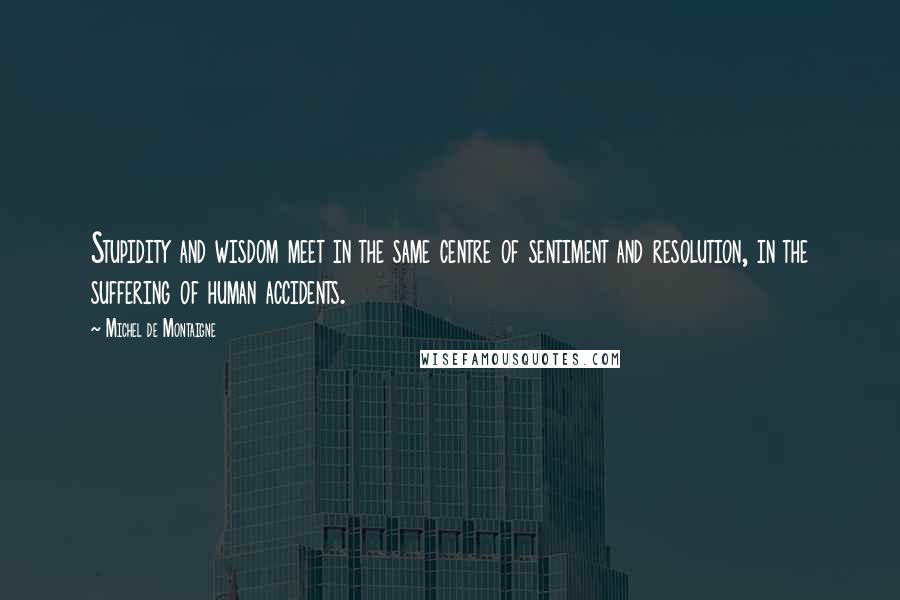 Michel De Montaigne Quotes: Stupidity and wisdom meet in the same centre of sentiment and resolution, in the suffering of human accidents.