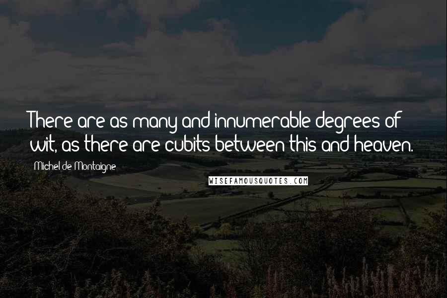 Michel De Montaigne Quotes: There are as many and innumerable degrees of wit, as there are cubits between this and heaven.