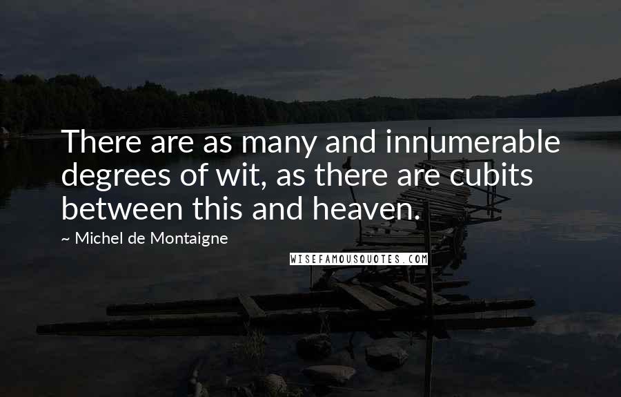 Michel De Montaigne Quotes: There are as many and innumerable degrees of wit, as there are cubits between this and heaven.