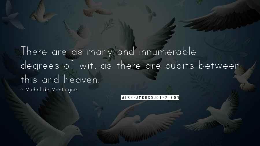 Michel De Montaigne Quotes: There are as many and innumerable degrees of wit, as there are cubits between this and heaven.