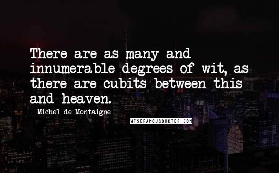 Michel De Montaigne Quotes: There are as many and innumerable degrees of wit, as there are cubits between this and heaven.