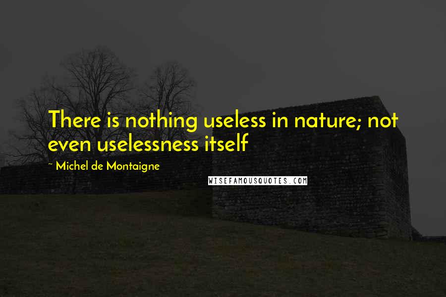 Michel De Montaigne Quotes: There is nothing useless in nature; not even uselessness itself