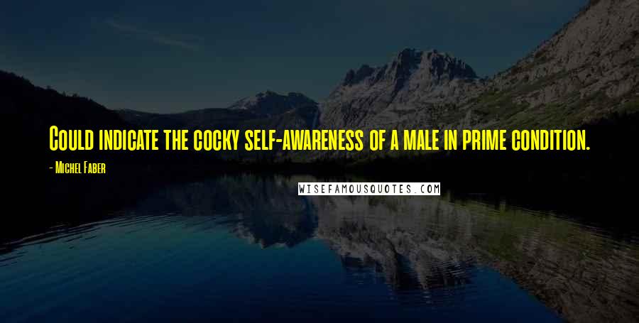 Michel Faber Quotes: Could indicate the cocky self-awareness of a male in prime condition.