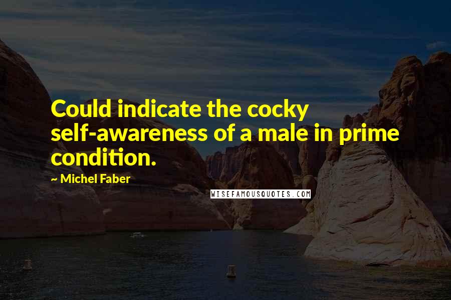 Michel Faber Quotes: Could indicate the cocky self-awareness of a male in prime condition.