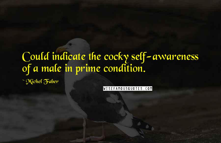 Michel Faber Quotes: Could indicate the cocky self-awareness of a male in prime condition.