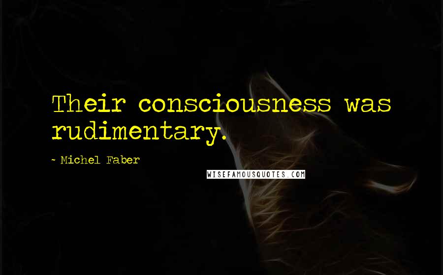 Michel Faber Quotes: Their consciousness was rudimentary.