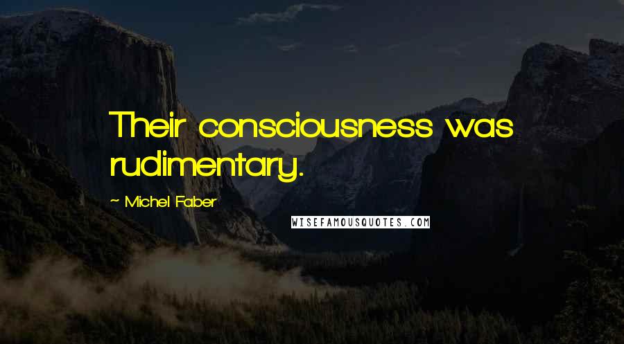 Michel Faber Quotes: Their consciousness was rudimentary.