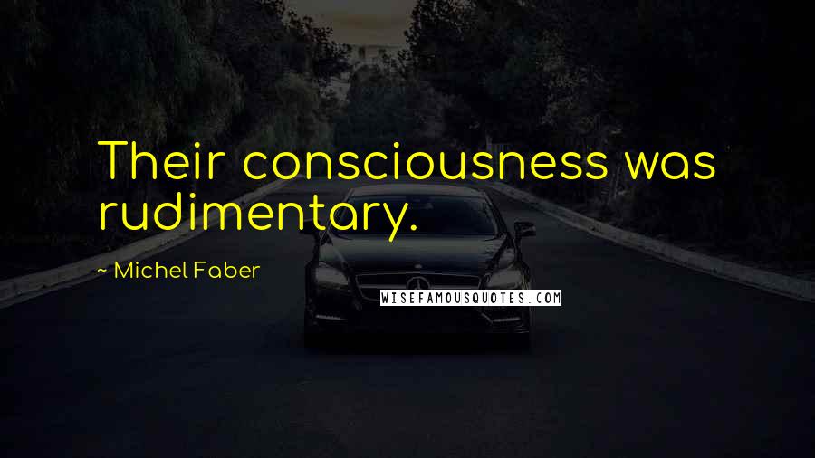 Michel Faber Quotes: Their consciousness was rudimentary.