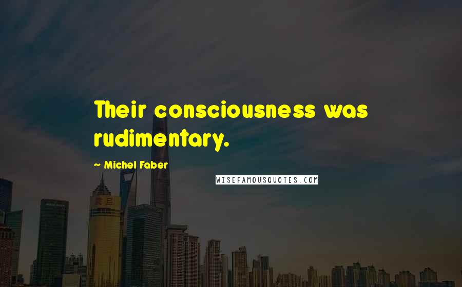 Michel Faber Quotes: Their consciousness was rudimentary.