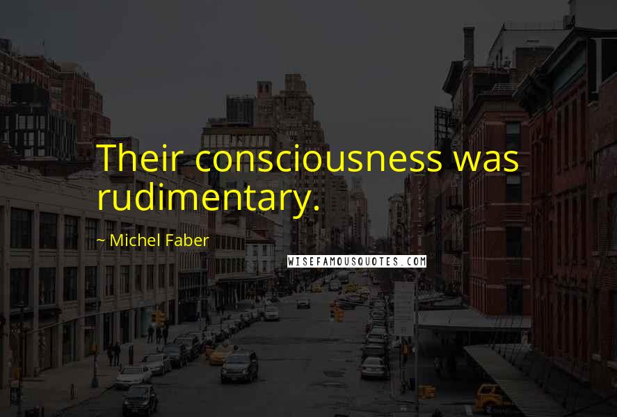 Michel Faber Quotes: Their consciousness was rudimentary.