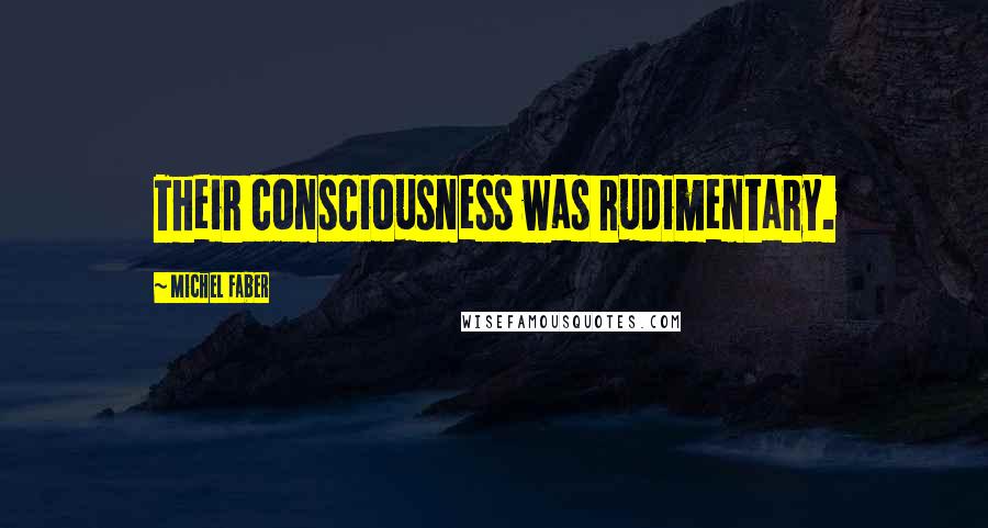 Michel Faber Quotes: Their consciousness was rudimentary.