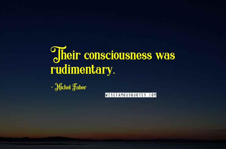 Michel Faber Quotes: Their consciousness was rudimentary.