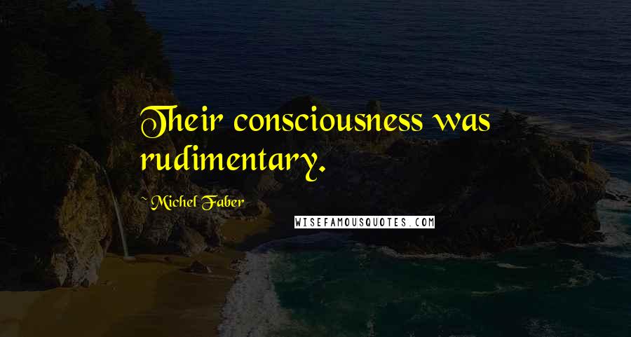 Michel Faber Quotes: Their consciousness was rudimentary.