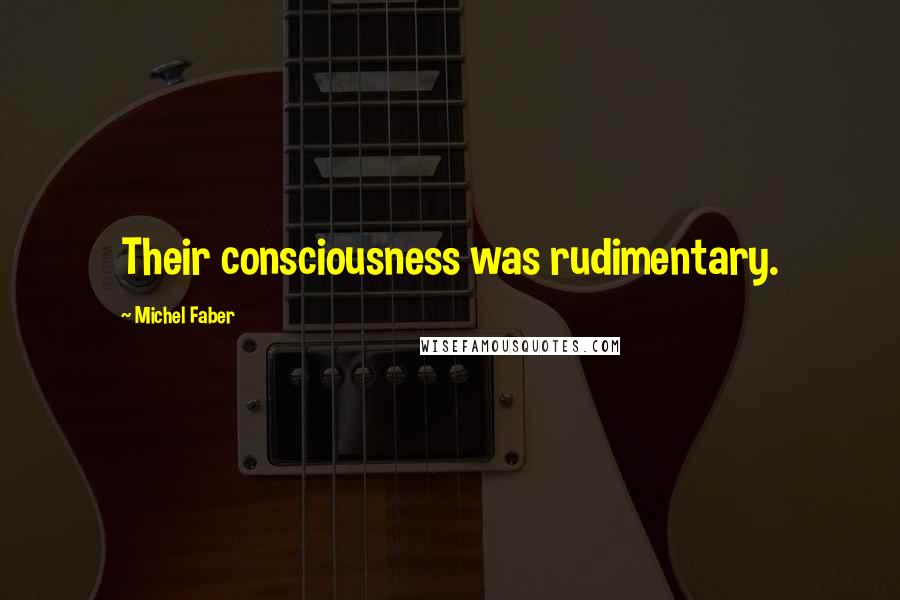 Michel Faber Quotes: Their consciousness was rudimentary.