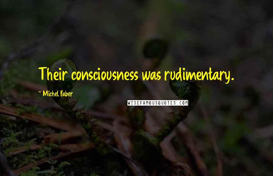 Michel Faber Quotes: Their consciousness was rudimentary.